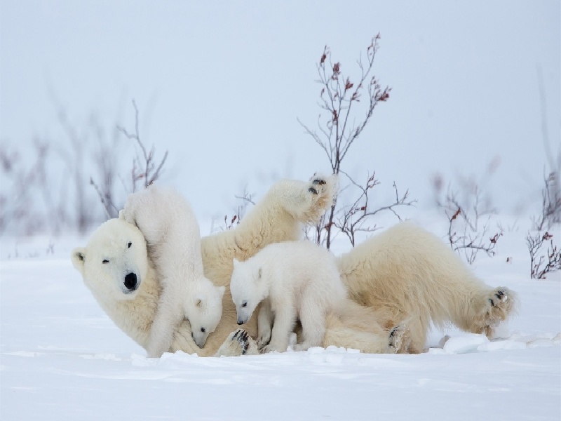 珠海试管做几代好,2024年珠海附二三代试管（新冠试管收益）