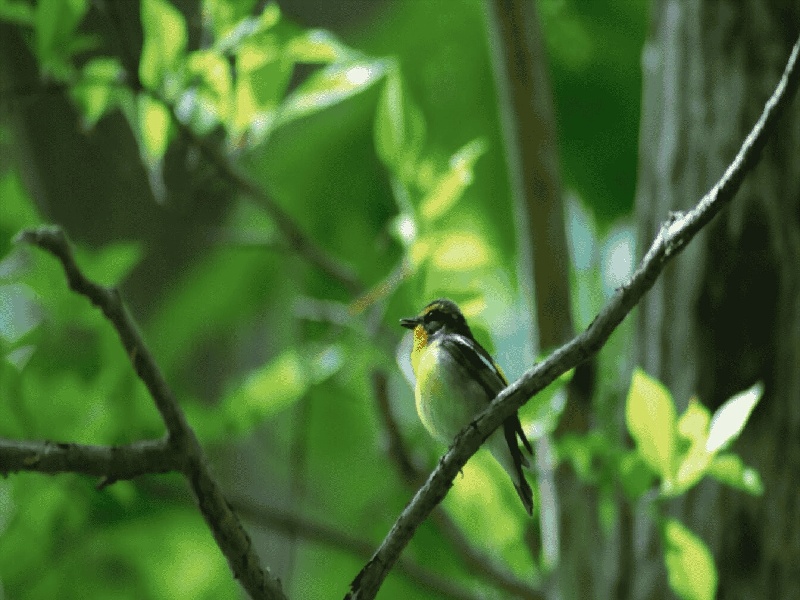 <strong>pada蚁巢拓展试管（试管前有子宫肌瘤）</strong>
